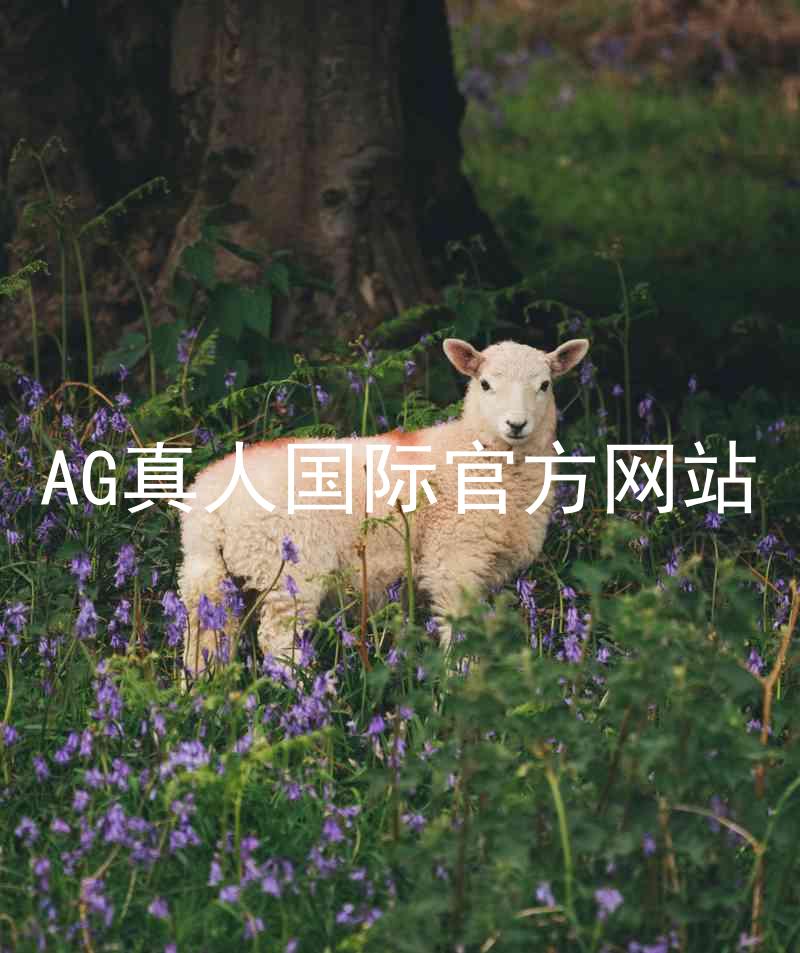 AG真人国际官方网站